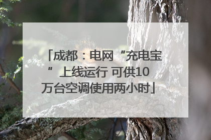 成都：电网“充电宝”上线运行 可供10万台空调使用两小时