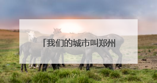 我们的城市叫郑州丨精细化管理保障城市“夜经济”