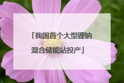我国首个大型锂钠混合储能站投产