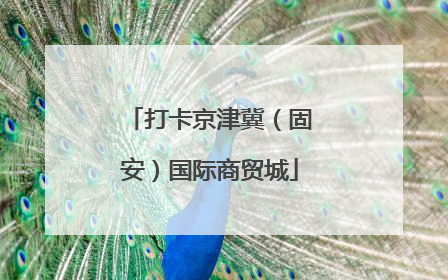 打卡京津冀（固安）国际商贸城