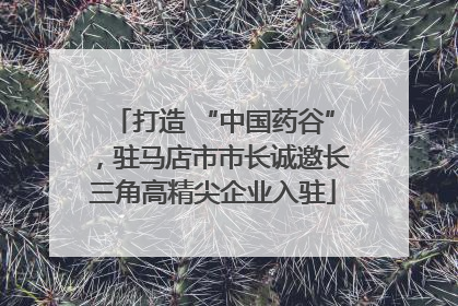 打造 “中国药谷”，驻马店市市长诚邀长三角高精尖企业入驻