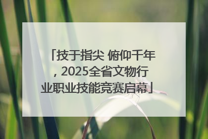 技于指尖 俯仰千年，2025全省文物行业职业技能竞赛启幕