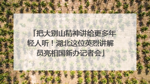把大别山精神讲给更多年轻人听！湖北这位英烈讲解员亮相国新办记者会