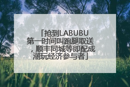 抢到LABUBU第一时间叫跑腿取送，顺丰同城等即配成潮玩经济参与者