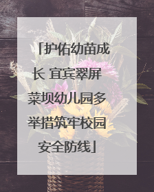 护佑幼苗成长 宜宾翠屏菜坝幼儿园多举措筑牢校园安全防线