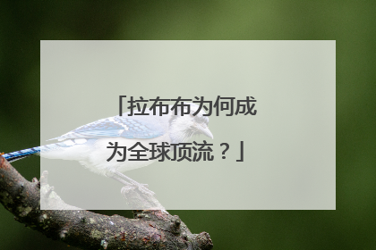 拉布布为何成为全球顶流？