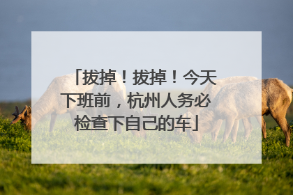 拔掉！拔掉！今天下班前，杭州人务必检查下自己的车