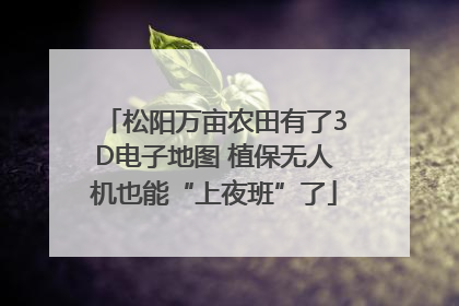 松阳万亩农田有了3D电子地图 植保无人机也能“上夜班”了