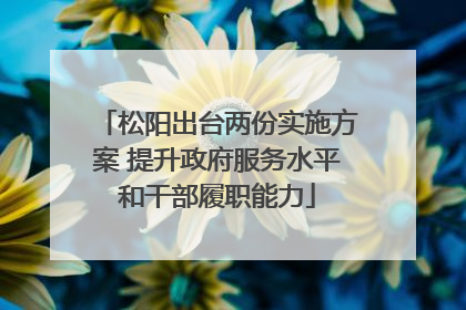 松阳出台两份实施方案 提升政府服务水平和干部履职能力