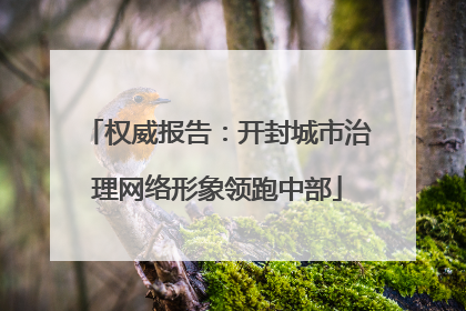 权威报告：开封城市治理网络形象领跑中部
