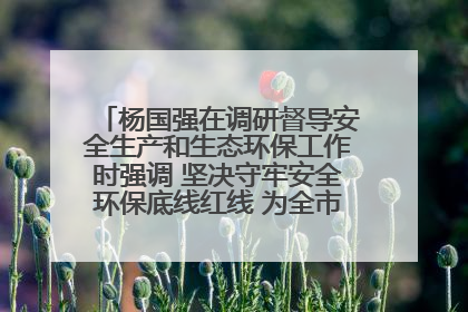 杨国强在调研督导安全生产和生态环保工作时强调 坚决守牢安全环保底线红线 为全市经济社会高质量发展提供坚强保障