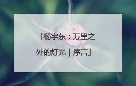 杨宇东：万里之外的灯光｜序言