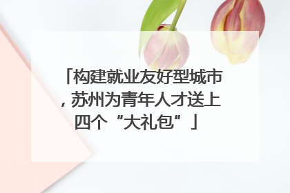 构建就业友好型城市，苏州为青年人才送上四个“大礼包”