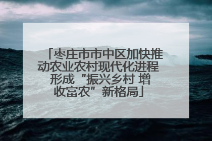 枣庄市市中区加快推动农业农村现代化进程 形成“振兴乡村 增收富农”新格局