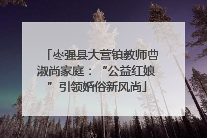 枣强县大营镇教师曹淑尚家庭：“公益红娘”引领婚俗新风尚