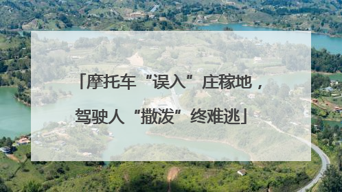 摩托车“误入”庄稼地，驾驶人“撒泼”终难逃