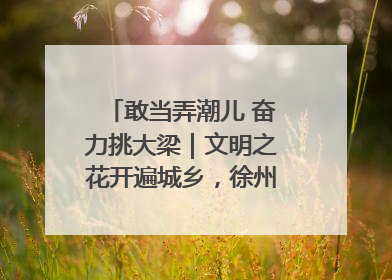 敢当弄潮儿 奋力挑大梁｜文明之花开遍城乡，徐州以昂扬风貌冲刺“万亿之城”