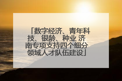 数字经济、青年科技、银龄、种业 济南专项支持四个细分领域人才队伍建设