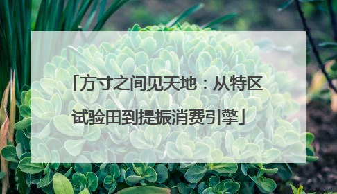 方寸之间见天地：从特区试验田到提振消费引擎