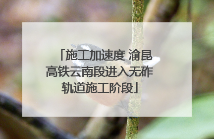 施工加速度 渝昆高铁云南段进入无砟轨道施工阶段