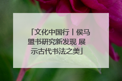 文化中国行丨侯马盟书研究新发现 展示古代书法之美
