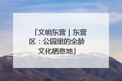 文明东营｜东营区：公园里的全龄文化栖息地