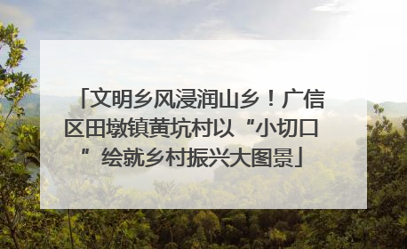 文明乡风浸润山乡！广信区田墩镇黄坑村以“小切口”绘就乡村振兴大图景