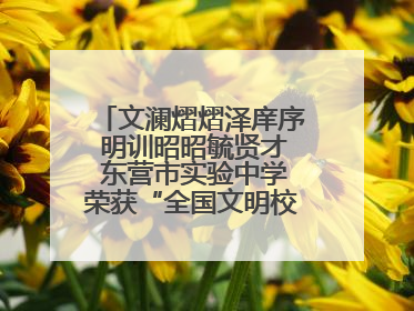 文澜熠熠泽庠序 明训昭昭毓贤才 东营市实验中学荣获“全国文明校园”称号