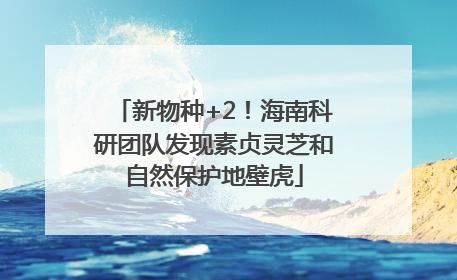 新物种+2！海南科研团队发现素贞灵芝和自然保护地壁虎