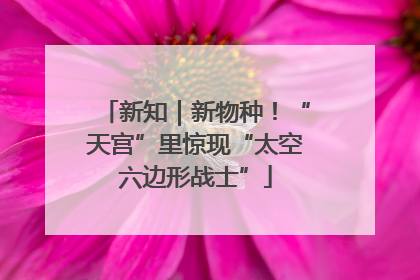 新知｜新物种！“天宫”里惊现“太空六边形战士”