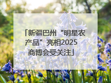 新疆巴州“明星农产品”亮相2025商博会受关注