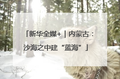 新华全媒+｜内蒙古：沙海之中建“蓝海”