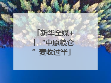新华全媒+丨“中原粮仓”麦收过半