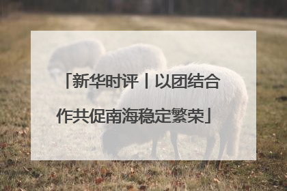 新华时评丨以团结合作共促南海稳定繁荣