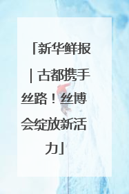 新华鲜报｜古都携手丝路！丝博会绽放新活力