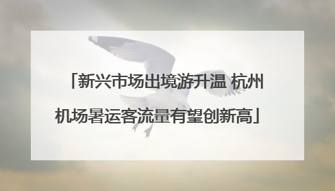 新兴市场出境游升温 杭州机场暑运客流量有望创新高
