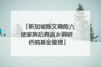 新加坡陈文确陈六使家族后裔返乡调研侨捐基金管理