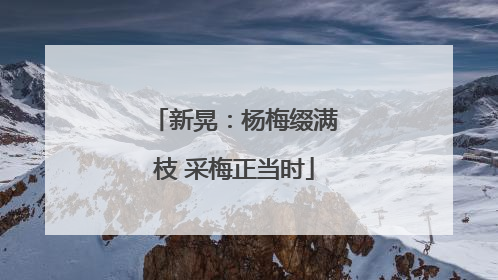 新晃：杨梅缀满枝 采梅正当时