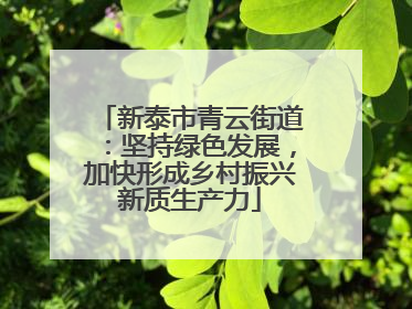 新泰市青云街道：坚持绿色发展，加快形成乡村振兴新质生产力