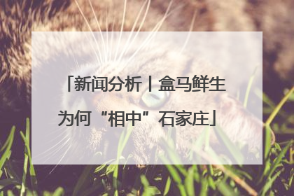 新闻分析丨盒马鲜生为何“相中”石家庄