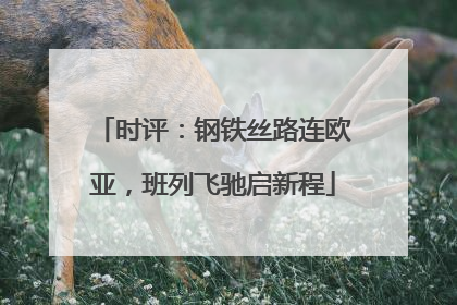 时评：钢铁丝路连欧亚，班列飞驰启新程