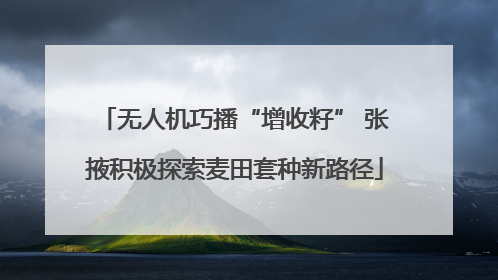 无人机巧播“增收籽” 张掖积极探索麦田套种新路径
