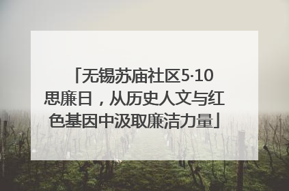 无锡苏庙社区5·10思廉日，从历史人文与红色基因中汲取廉洁力量