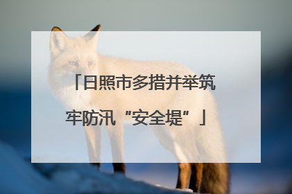 日照市多措并举筑牢防汛“安全堤”