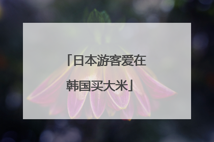日本游客爱在韩国买大米
