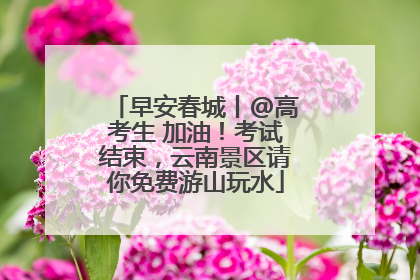 早安春城丨@高考生 加油！考试结束，云南景区请你免费游山玩水