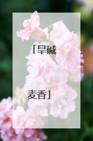 旱碱麦香