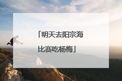 明天去阳宗海比赛吃杨梅