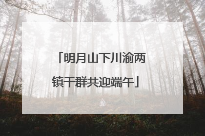 明月山下川渝两镇干群共迎端午
