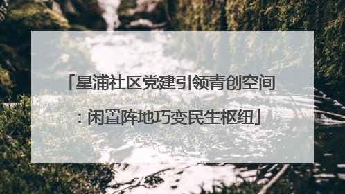 星浦社区党建引领青创空间：闲置阵地巧变民生枢纽
